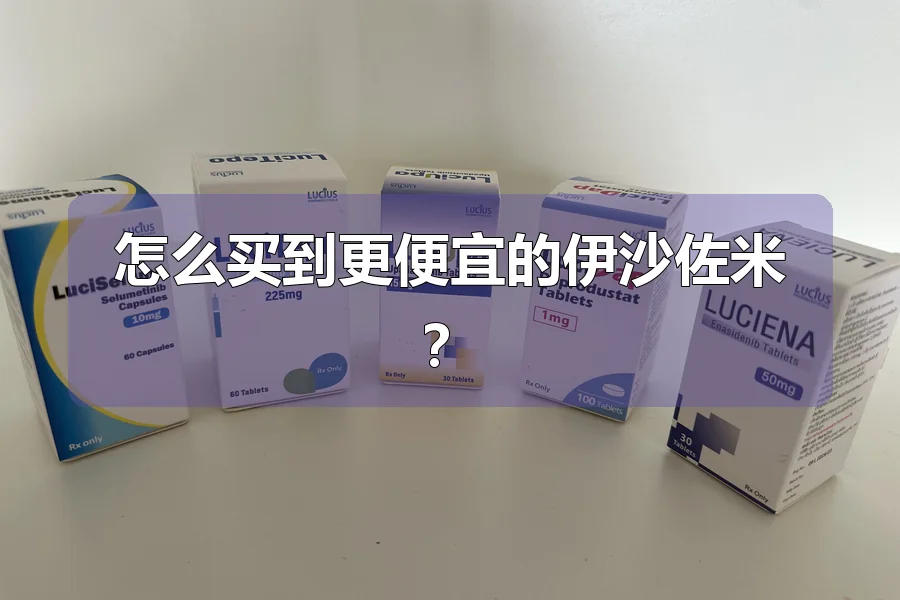 怎么买到更便宜的伊沙佐米?